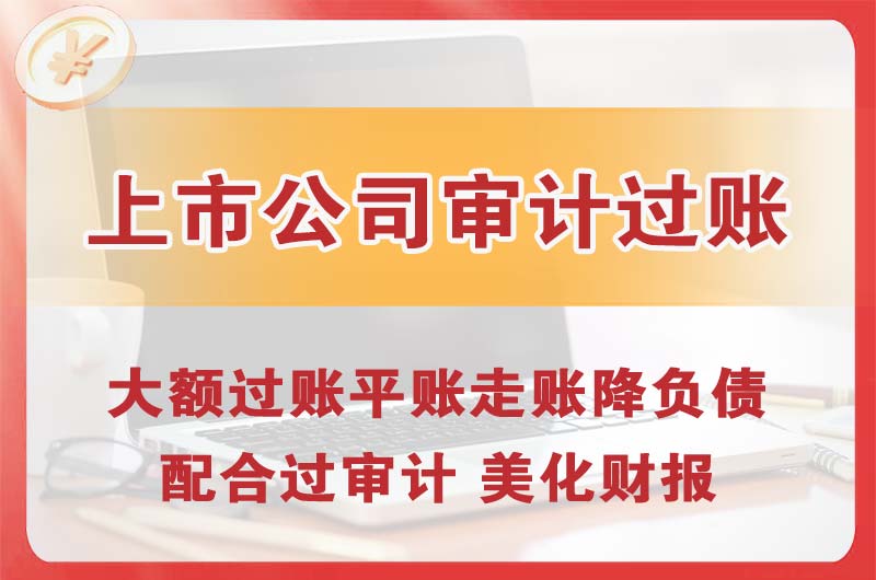 阜沙上市公司审计过账